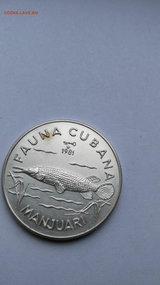 Куба 5 песо 1981 " Кубинская фауна: Панцирная щука - PHOTO_20170422_133628