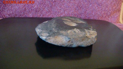 Древний каменный нож -режущая половина 8 см до 20-40 13.12 - 1450504250314_bulletin