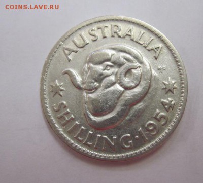 1 шиллинг Австралия 1954 до 29.12.18 - IMG_3647.JPG