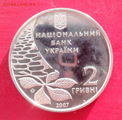 лот из 6 монет Украины 200.000 карб и 2 гривен. до 8.01.19 - 2019-01-03 19.40.41
