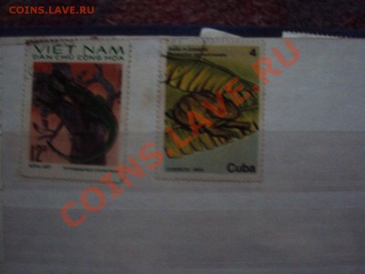 Коллекция марок разного направления и происхождения(продам) - DSC09519