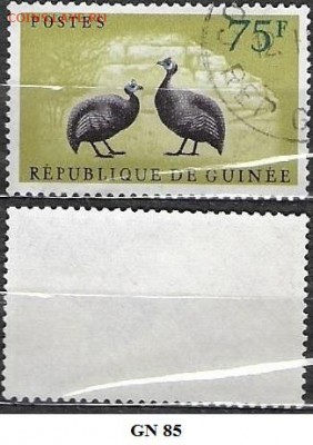 Республика Гвинея 1961. ФИКС. Mi GN85. Цесарки - Р. Гвинея 85