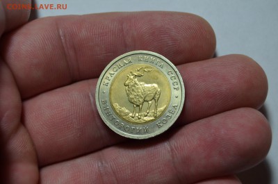 КК 5 рублей ВИНТОРОГИЙ КОЗЕЛ  до 14.01 в 22.30 - DSC_0421.JPG