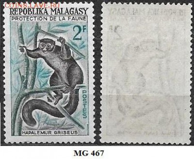Мадагаскар 1961. ФИКС. Mi VG 467. Лемур - Магадаскар 467