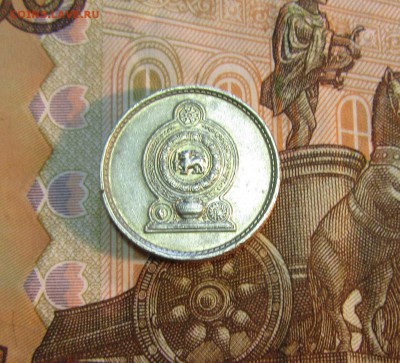 Шри Ланка  25 центов  1975 г         до 05.02 - IMG_2889.JPG
