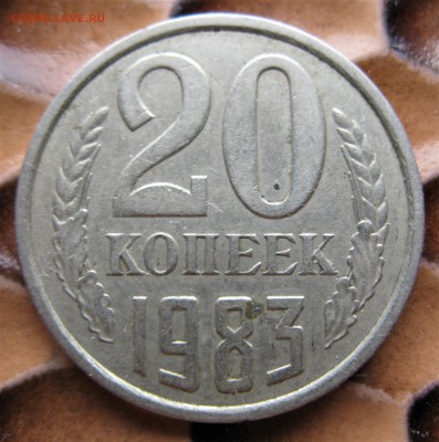 20 к 1983 (перепутка) 06.02.19  22-00 - IMG_8250.JPG