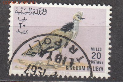 Ливия 1966 птицы 1м - 74