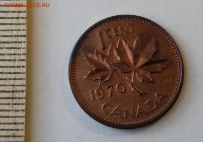 КАНАДА 1 цент 1970 до 5.03.19 - IMG_20190218_172942