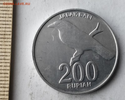 ИНДОНЕЗИЯ 200 рупий 2003 (фауна) UNC до 5.03.19 - IMG_20190227_161839