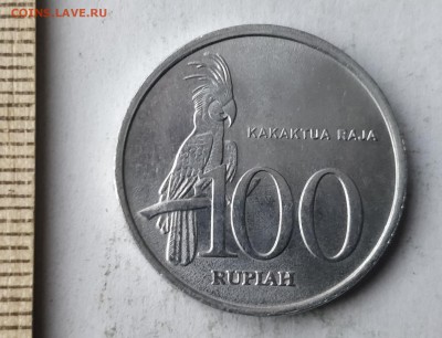 ИНДОНЕЗИЯ 100 рупий 1999 (фауна) UNC до 5.03.19 - IMG_20190227_161901