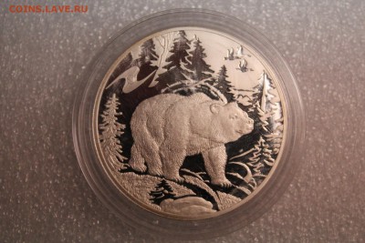 3 рубля, 2009 год. Животный мир стран ЕврАзЭС. Медведь - IMG_3263.JPG