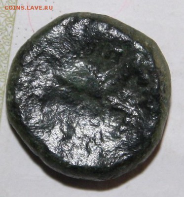 Несколько античных монет на определение - IMG_1263.JPG