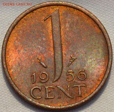 Нидерланды цент 1951,56,54, 59 г. 28.03. 2019. в 22 - 00. - DSC_0144