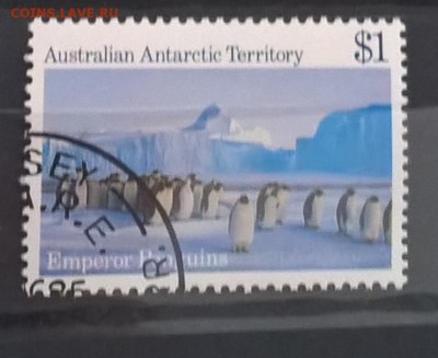 ААТ 1984 1м пингвины до 22 04 - 67