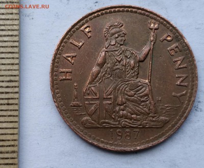 "Half penny" музейный (2) до 5.05.19 - IMG_20190426_102020__01
