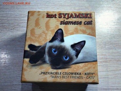 НИУЭ - 1 ДОЛЛАР - СИАМСКИЙ КОТ - 2014 - 20.05.19 - IMG_1161 (Копировать).JPG