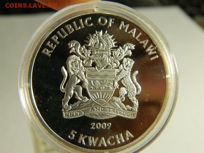 Малави 5 квача 2009г. Посеребренная медь.Одна из 4монет наб - DSCN1551.JPG