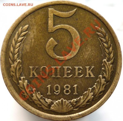 5 копеек 1981 год (№131 по Федорину) - P1040696.JPG