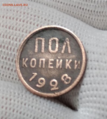полкопейки СССР 1928 года - 74