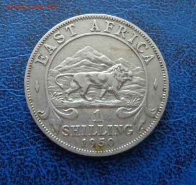 Британская Восточная Африка 1 шиллинг 1950 до 18.06 - DSC00839.JPG