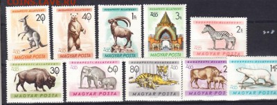 Венгрия 1961 зоопарк Будапешта 10м** до 05 07 - 29б