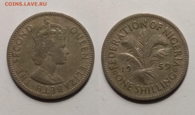 Британская Нигерия 1 шиллинг 1957 года - 17.07 22:00 мск - IMG_20190710_070622
