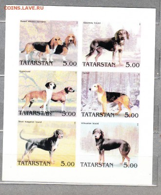 Татарстан собаки лист до 20 07 - 73
