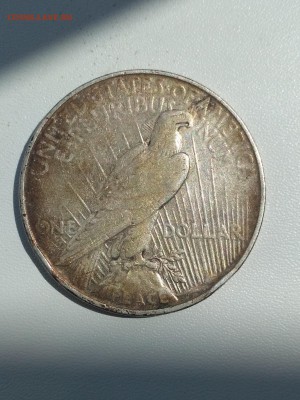 США,1 доллар 1922D(Peace Dollar)до 22.07.2019г - IMG_20190719_134152