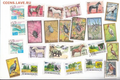 сток марок живопись фауна - IMG_0015