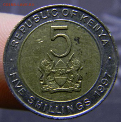 5 шиллингов кения 1997 бим - DSCN6448_thumb
