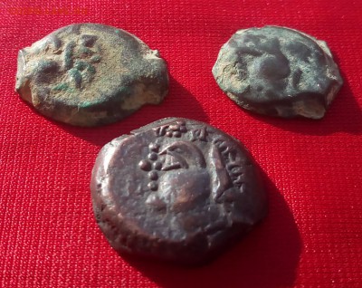 Три античных монеты Пантикапей.до.02.09.19г в 22.00.мск. - IMG_20190829_172034_728.JPG