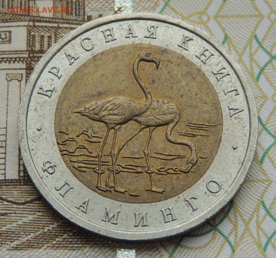 50 руб. Красная книга 1994г. Фламинго до 11.09.19 - DSCN9761.JPG