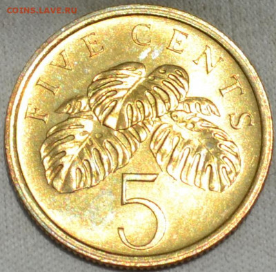 Сингапур 5 центов 1986. 26. 09. 2019. в 22 - 00. - DSC_0818