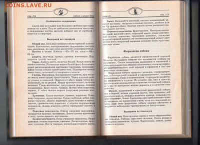 Собака в вашем доме 2002 г. до 02.10.19 г. в 23.00 - 004