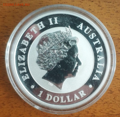 Австралия 1 доллар Коала 2014 до 11.10 22-00 мск - Koala 2014_2