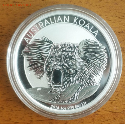 Австралия 1 доллар Коала 2014 до 11.10 22-00 мск - Koala 2014_1