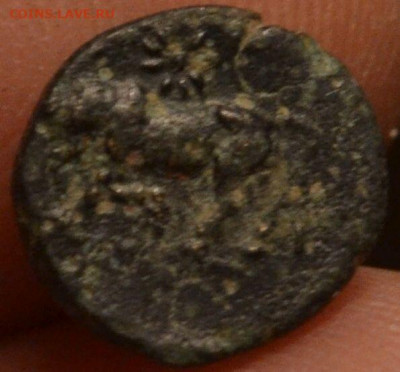 Антика.город Гамбрион-Мизия 350-250 г. до н.э - 5CrIul6