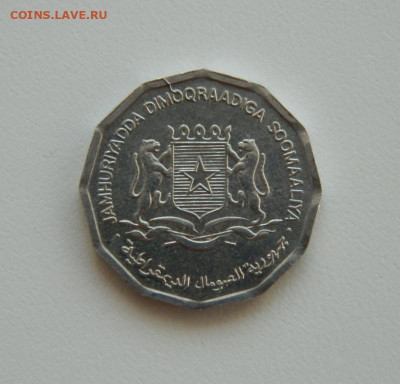 Сомали 10 центов 1976 года (Фауна)без оборота. до 21.10.2019 - DSCN9937.JPG