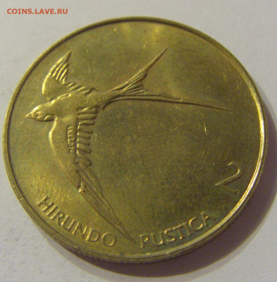 2 толара 2004 Словения №1 16.11.2019 22:00 МСК - CIMG7193.JPG