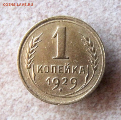 1 копейка 1929 год. до 22.11 в 22-00. - IMG_5222.JPG