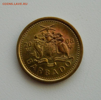 Барбадос 5 центов 2008 г. до 28.11.19 г. - DSCN9907.JPG