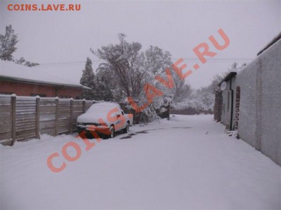 А тем временем в Южной Африке ... - Sneew 25 Jul 2011 00432