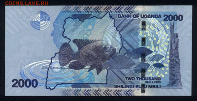 Уганда 2000 шиллингов 2010 unc 11.12.19. 22:00 мск - 1