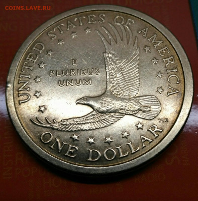 1 доллар США Парящий орел Сакагавея. Короткий. - YufvW_2mGXU