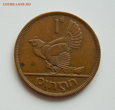Ирландия 1 пенни 1964 г. (Фауна) крупная. до 12.12.19 - DSCN9945.JPG