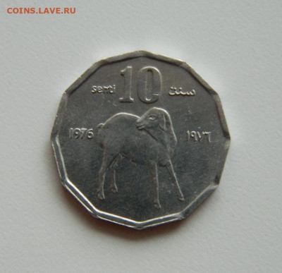 Сомали 10 центов 1976 г. (Фауна)без обращения до 12.12.2019 - DSCN9957.JPG