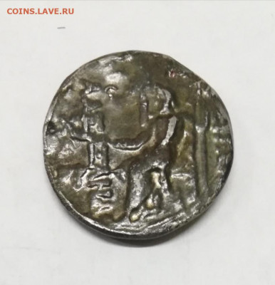 Античная монета на подлинность и оценку - IMG_20191216_164559