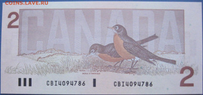 Канада 2 доллара птицы - IMG_6947 (2).JPG