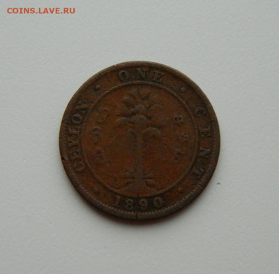 Британский Цейлон 1 цент 1890 г. до 17.02.20 - DSCN0070.JPG