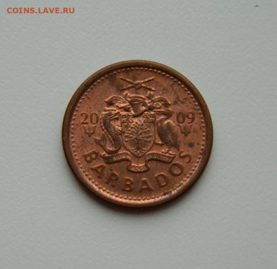 Барбадос 1 цент 2009 г. до 25.02.20 - DSCN9923.JPG